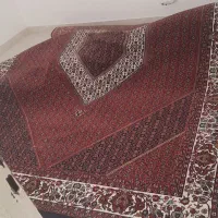 دو عدد9متری دوعدد12متری 1عدد6متری|فرش|بهار, |دیوار