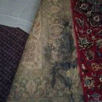 فرش ریز ماهی|فرش|زنجان, |دیوار