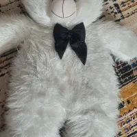 خرس یک متری