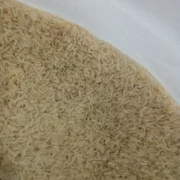 برنج فجر سوزنی|خوردنی و آشامیدنی|گنبد کاووس, |دیوار