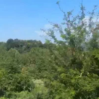 زمین ۱۵۲۰ متری در کچاء