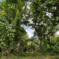 خانه ویلایی در ابرده شاندیز