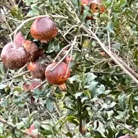 آموزش عکاسی - تصویربرداری - ادیت فیلم