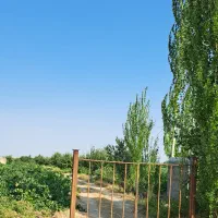 1.4 هکتار زمین زراعی- ارزان و فوری|فروش دفتر صنعتی، کشاورزی، تجاری|خرمدره, |دیوار