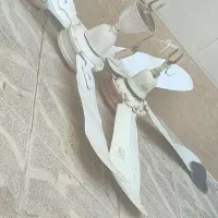 پنکه سقفی مارک هما|پنکه و تصفیه‌کنندهٔ هوا|مشهد, موعود|دیوار