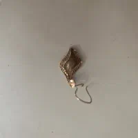 یه قطعه طلا گم شده