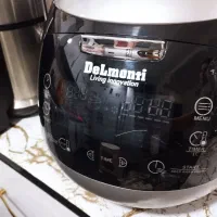 پلوپز سرخ کن دلمونتی برقی