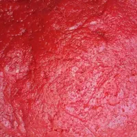 رب خانگی آتیشی