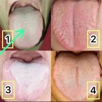 زبان شناسی مزاج شناسی