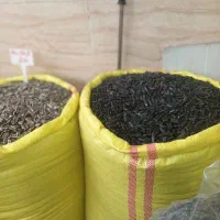 پخش انواع تخمه آفتابگردون  تخمه کدو  ایرانی  خارجی|عمده‌فروشی|کرج, شهر صنعتی|دیوار