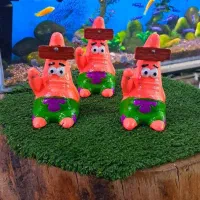 آکواریوم تزیئن داخلی ماهی چند مدل