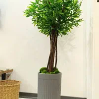 درختچه فیکوس آمستل بنسای مصنوعی جنسینگ گل درخت|گل مصنوعی|تهران, قصر فیروزه ۱|دیوار