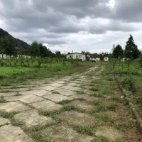 فروش-زمین-پلاک-یک-جنگل-شهرکی-با-ویو-بی-نظیر-بندپی