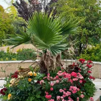 اجاره روزانه باغ ویلا.استخراب گرم.جکوزی.بیلیارد|اجارهٔ کوتاهمدت ویلا و باغ|مشهد, امیریه|دیوار