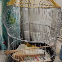 قفس پرنده با تموم وسایل