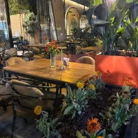 استخدام سالندار خانم جهت رستوران