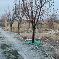 250متر-زمین-شهرکی-سهیلیه-زعفرانیه-کهریزک-ارغوان-4