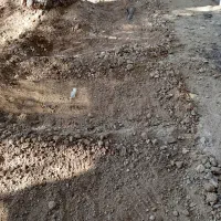 باغبانی انجام میدم بنده البوعبادی هستم جراحی