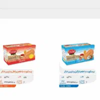 جذب نیروی ویزیتور در رودان