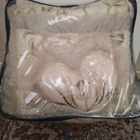 سرویس رو تختی