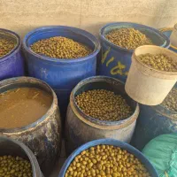 باقالی|خوردنی و آشامیدنی|رشت, کوی فکوری|دیوار