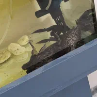 فروش اکواریوم همراه ماهی های داخلش|ماهی|تهران, مشیریه|دیوار