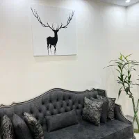 تابلو دکوراتیو/مینیمال/مدرن