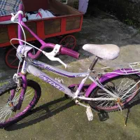 دوچرخه|دوچرخه، اسکیت، اسکوتر|لاهیجان, بوجایه|دیوار