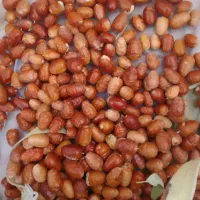 سنجد|خوردنی و آشامیدنی|مشهد, توس فردوسی|دیوار