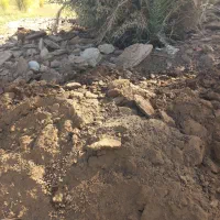 کود گاو گوسفند قاطی|لوازم جانبی حیوانات|جیرفت, |دیوار