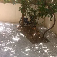 اجاره زیر زمین جهت باشگاه یا کارگاه