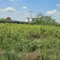 زمین300متر-کاربری-مسکونی-داخل-شهر