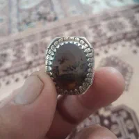 شجر زیبا|جواهرات|نیشابور, ابراهیمی|دیوار