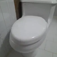 سرویس فرنگی