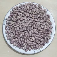 فروش عمده برنج و حبوبات|خوردنی و آشامیدنی|تبریز, |دیوار