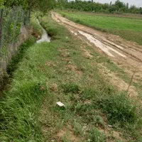 زمین