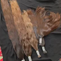 خریدار اصلی موهای طبیعی|خدمات آرایشگری و زیبایی|کوهدشت, |دیوار