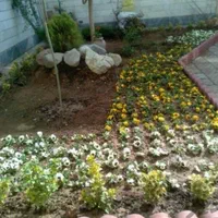 خاک باغچه و باغ مرغوب و حاصل خیز|خدمات باغبانی و درختکاری|شیراز, قصرالدشت|دیوار