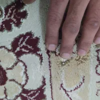جفت فرش ۱۲متری تمام نخ|فرش|تربت جام, شهرک آزادگان|دیوار