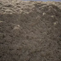 کاه لوبیا|لوازم جانبی حیوانات|اقلید, |دیوار