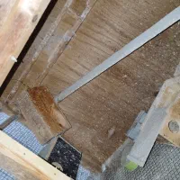 فروش قفس پرورش پرنده|لوازم جانبی حیوانات|بابل, |دیوار