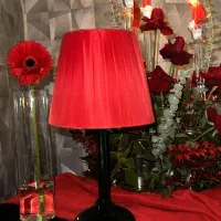 ظروف کرایه بلادی|خدمات پذیرایی، مراسم|گرمدره, |دیوار