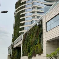 ۵۰ متر تجاری بر فرمانیه اقدسیه