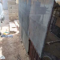 طوطی ملنگو با قفس بزرگ