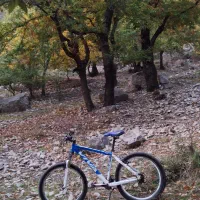 دوچرخه سایز 28 ویوا