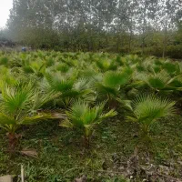 فروش زمین مسکونی ۲۲۰۰ متر (املاک مهستان عبدالهی)