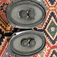 یک جفت باند عصلی