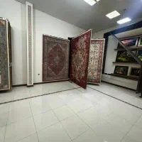 فرش طرح کلکسیون روناسی وثریا ۷۰۰شانه تراکم۲۵۵۰|فرش|شیراز, عادل آباد|دیوار