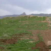زمین فروشی