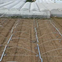 فروش ویژه سازه گلخانه صنعتی و خانگی|خدمات باغبانی و درختکاری|زاهدان, |دیوار